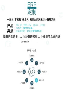 亞馬遜無貨源erp系統店群erp跨境erp erp貼牌定制