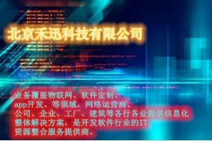 拓展定制軟件開(kāi)發(fā)-禾迅科技軟件開(kāi)發(fā)圖片可定制