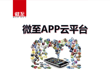 微至--專業(yè)APP開發(fā)定制.ppt