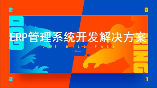 erp管理系統(tǒng)開發(fā)解決方案