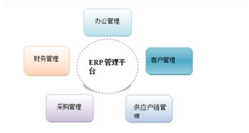 erp系統如何實現,用什么語言