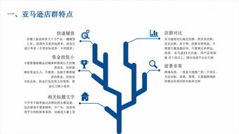 河北邯鄲麥億易,專注于亞馬遜無貨源erp系統開發定制