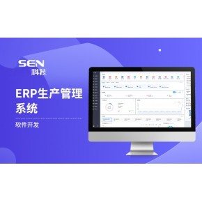 erp軟件開發企業源碼開發快速上線定制開發