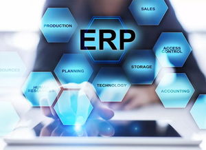 論erp在我國企業管理中的應用