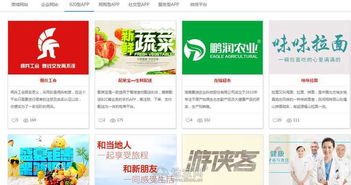 app開發(fā)網(wǎng)站建設(shè)微信開發(fā)軟件開發(fā) 南昌網(wǎng)站制作